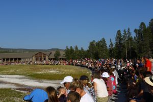 Crowds awaiting Old Faithful in the summer